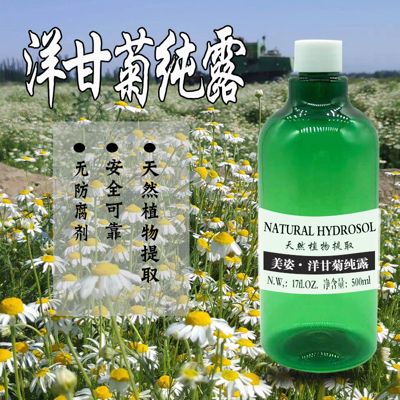 洋甘菊纯露  500ML  喷纯露/花水