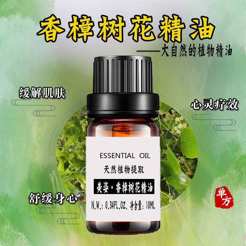 香樟树花精油 气味芳香 纯植物提取 香樟花 香薰