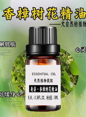 百灵谷中国香薰香樟树花纯植物