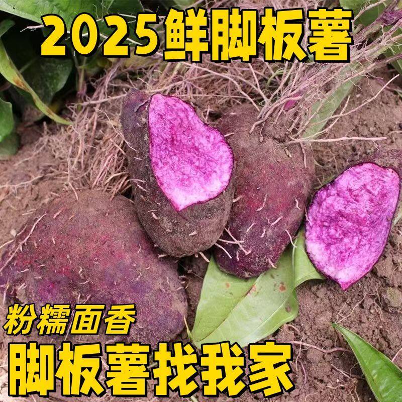 福建龙岩紫山药新鲜脚板薯大薯薯包子农家自种粉糯香甜,水产肉类/新鲜蔬果/熟食,新鲜山药,淘宝优惠券,粉丝福利购,淘宝优惠卷