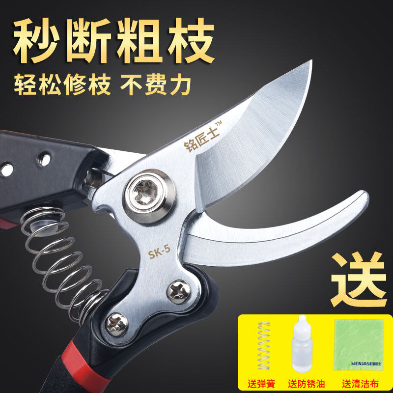 园林剪园艺修花剪树枝剪粗枝果树剪枝省力植物修花枝剪进口SK5钢|ruв категории начало ежедневно, бытовой аппаратные средства, ножницы/парикмахерские ножницы/садовые ножницы, садовые ножницы - от Buy2taobao.com для оказания профессиональной услуги покупки агента Taobao