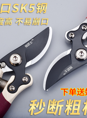 省力果树枝剪修枝剪刀粗枝剪树剪子剪枝剪刀修花枝剪家用园艺工具