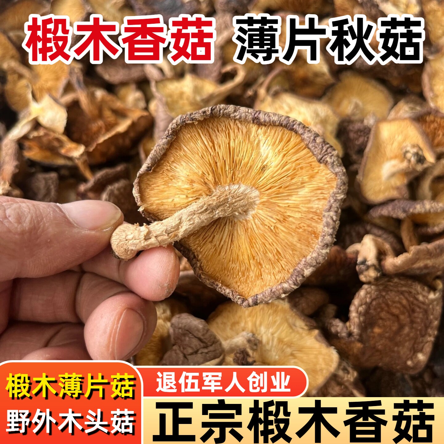 椴木香菇干货薄片香菇野外生长木头香菇柞树香菇小蘑菇家用干香菇