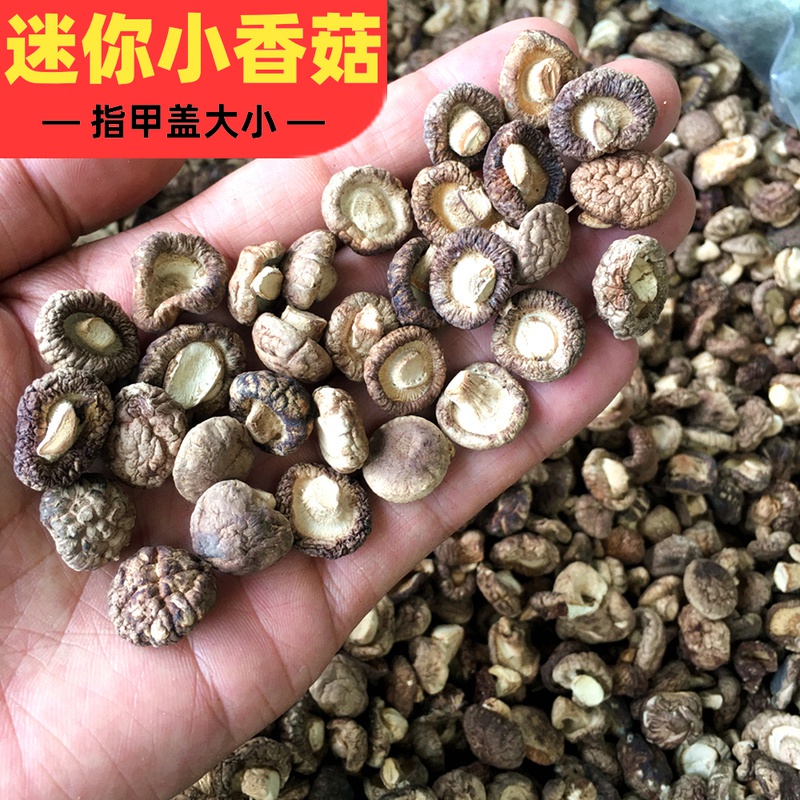 特小香菇干货散装香茹迷你小菇丁