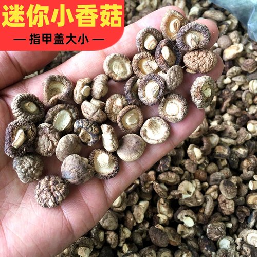 特小香菇干货散装香茹迷你小菇丁