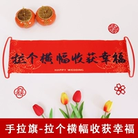 Новый флаг, вытянутый вручную