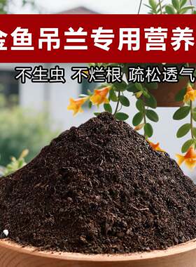 金鱼吊兰专用土料花肥盆栽土壤营养土白斑黄黑软蔫干枯掉种植家用