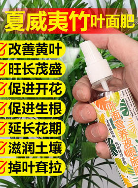 夏威夷竹专用肥料花干枯发黄褐色斑点焦尖锈斑下垂营养液叶面肥料