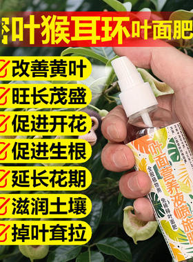 密叶猴耳环专用肥料绿植物养护营养液叶面肥叶面肥土壤花肥化肥料
