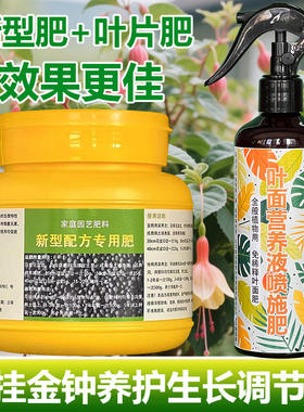 倒挂金钟专用肥料盆栽小苗倒挂金钟花肥营养液专用土水培叶面肥料