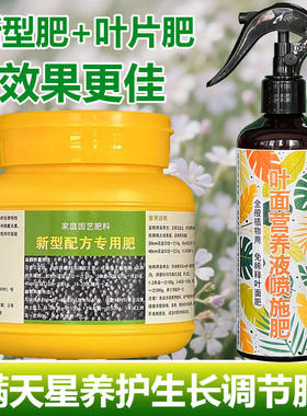 满天星专用肥料满天星营养液蔫叶子干焦尖发黄干枯萎打卷叶面肥料