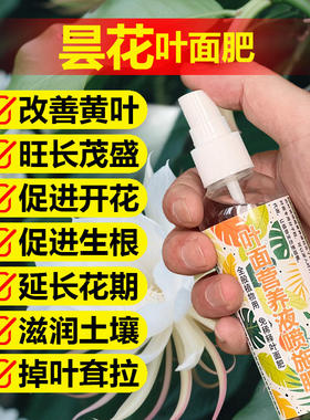 昙花专用肥料种植开花肥盆栽营养液发黄干瘪软蔫焦尖叶斑叶面肥料