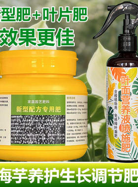 海芋专用肥料养殖盆栽花苗土壤花肥营养液叶面肥氮磷钾有机肥料