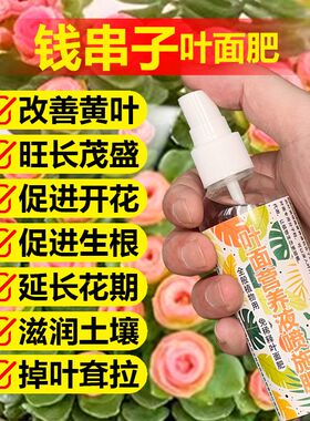 钱串子专用肥料钱多多肉植物钱串锦前程似锦土壤营养液水溶肥肥料