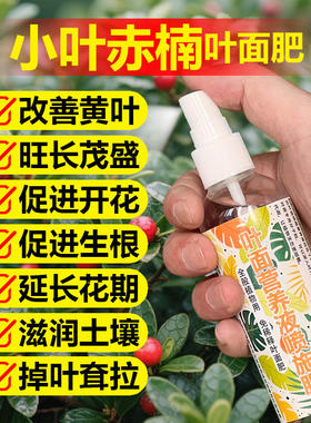 小叶赤楠专用肥料盆栽盆景专用土壤营养液鱼鳞木兰山乌珠叶面肥料