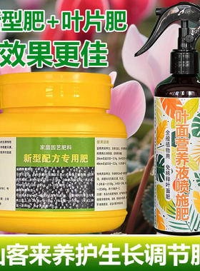 仙客来专用肥料专用土养殖开花年宵花仙客来花养护营养液叶面肥料