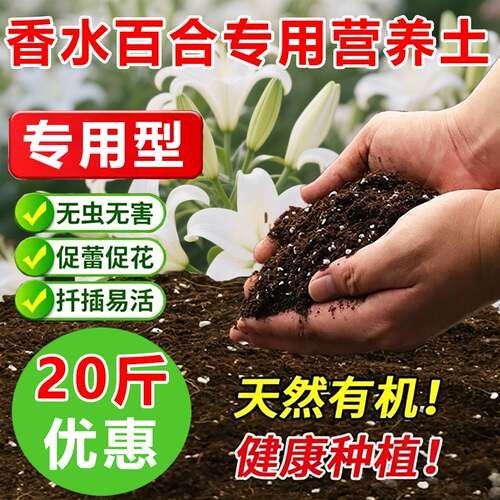 香水百合种球专用土料养护花盆栽营养土养殖百合花专用土种植家用