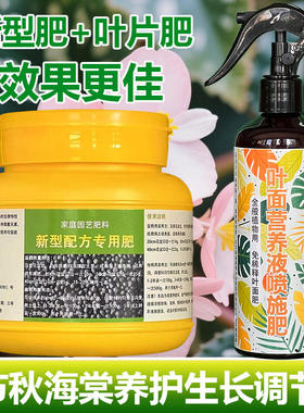 竹节秋海棠专用肥料盆栽专用土养殖养护营养液喷剂开花肥叶面肥料