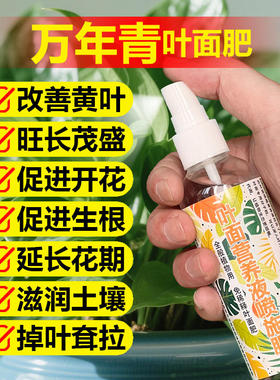 万年青专用肥料专用营养液叶子发黄耷拉软蔫锈斑打卷枯萎叶面肥料