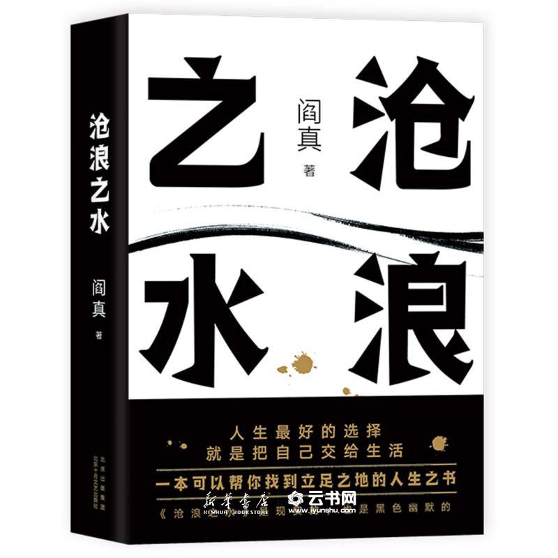 沧浪之水 电视剧岁月原著小说 现货 阎真 官场职场畅销励志经典考公国考人民的名义如何是好茅盾文学奖正版包邮图书