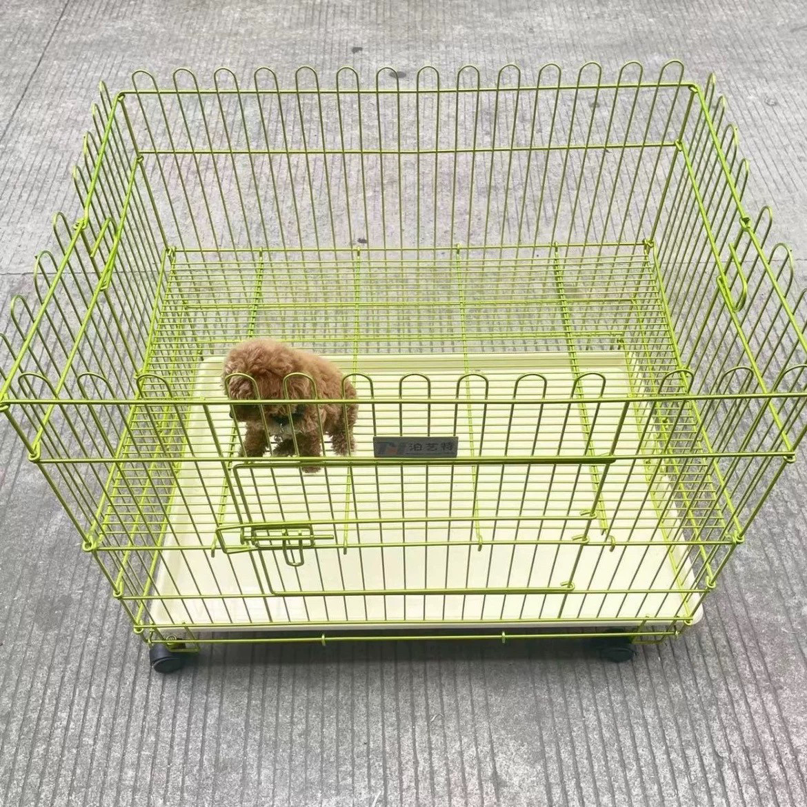 【泊艺特纳米烤漆跑笼】中小型犬狗狗展示笼加粗室内不塌底跑笼