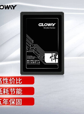 光威（Gloway）240GB SSD固态硬盘 SATA3.0接口 悍将系列
