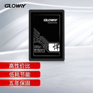 光威（Gloway）240GB SSD固态硬盘 SATA3.0接口 悍将系列