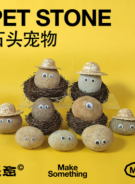 石头宠物石小净同款宠物小石头解压自愈女生可爱摆件养石头礼品