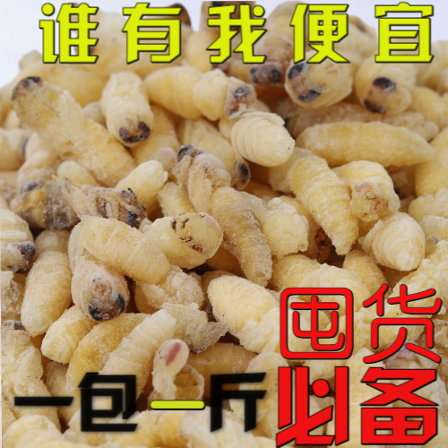 正品活体新鲜马蜂蛹大土蜂葫芦蜂七里蜂活体速冻精品二级蜂蛹幼虫
