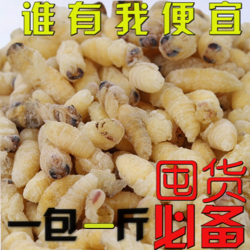 正品活体新鲜马蜂蛹大土蜂葫芦蜂七里蜂活体速冻精品二级蜂蛹幼虫