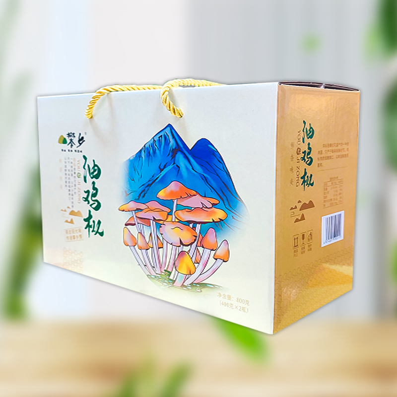 四川攀枝花特产油鸡枞地方美味