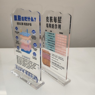 分层诠释肌肤层抗衰老展示牌透明台卡亚克力牌医美子宫红细光摆件