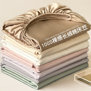 夏季 纯棉全棉床罩床单床垫套保护罩 新疆长绒棉床笠套单件2025新款