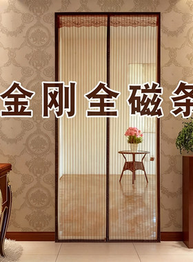 隐形门帘免打孔蚊子磁吸窗纱