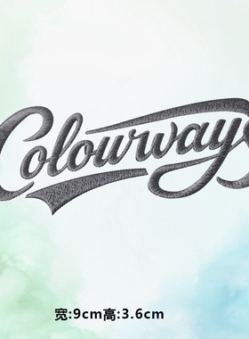 潮牌colorways仿刺绣字母图案烫画贴印花衣服图案贴热转印白墨