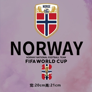 潮牌NORWAY字母图案烫画贴时尚印花衣服贴热转印白墨贴纸
