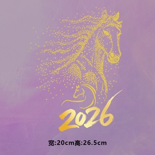 烫画图案新款时尚2026渐变字斑点马烫画贴印花衣服热转印白墨烫画