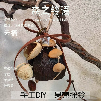 果壳铃挂件果壳种子壳挂铃