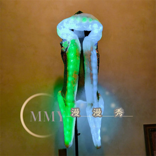 LED发光幻彩亮片皮草收腰音乐节跑马灯演出服遥控器控制发光服装