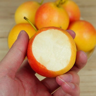 东北当地应季南果梨酸甜老式孕妇水果三斤 五斤顺丰包邮现摘发货