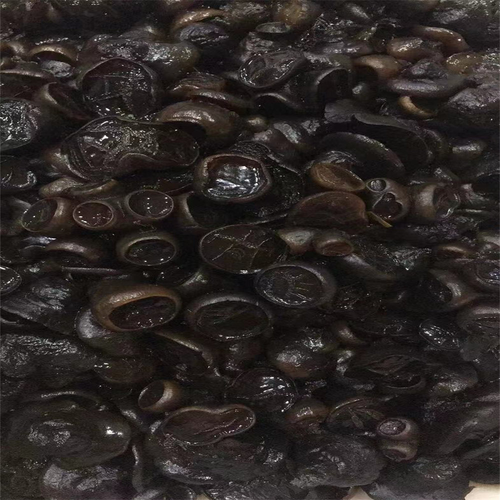 东北特产新鲜蘑菇食用菌类猪嘴蘑猪拱嘴一份三斤冷冻发货顺丰包邮