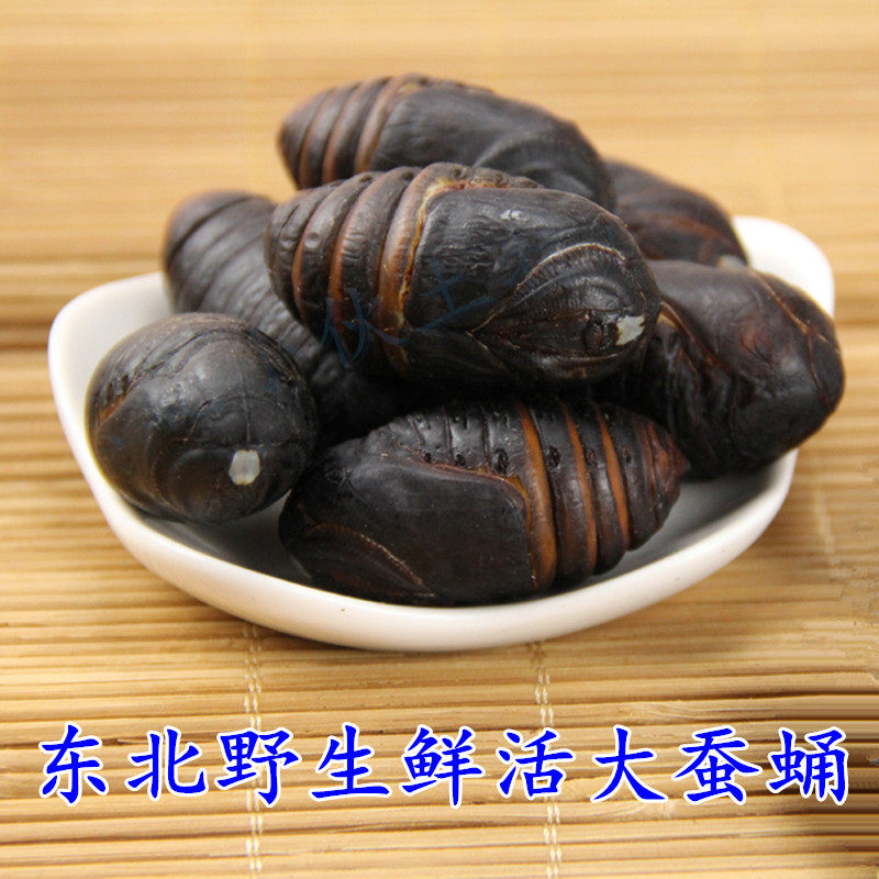 蚕蛹小伙东北特产新鲜鲜活柞蚕蛹