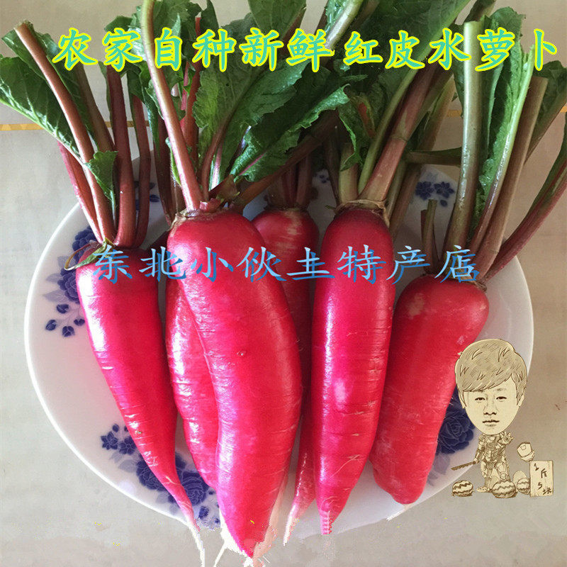 水萝卜新鲜蔬菜小伙东北特产小萝卜农家肥红皮白心1000克顺丰包邮
