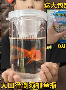 儿童捉鱼神器抓鱼瓶工具倒须户外亲子优质捕鱼篓池塘鱼笼渔网笼大