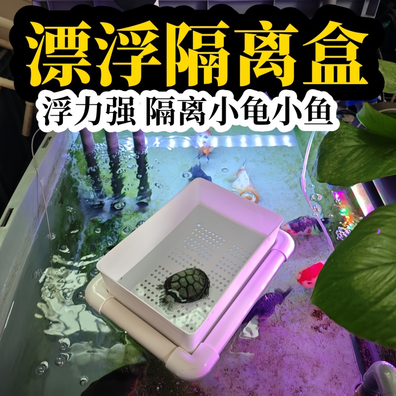 漂浮隔离盒养龟养鱼分开饲养盒