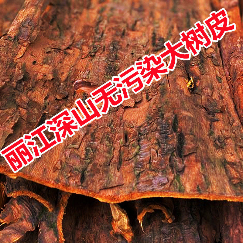 云南丽江无污染红豆杉树皮紫杉醇一斤500克高海拔果子老树皮根皮