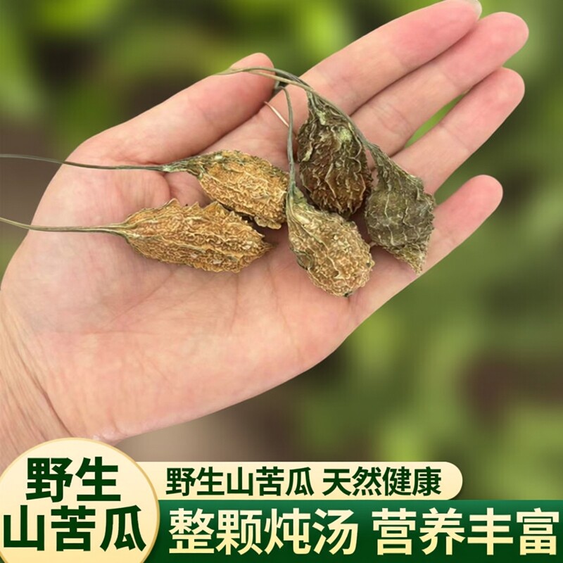 云南中药材野生山苦瓜小苦瓜