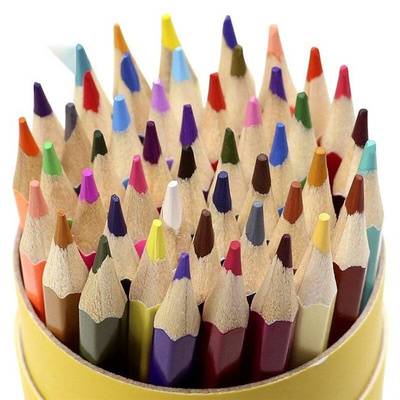 colour pencil painting students use 48 colour pencils with a