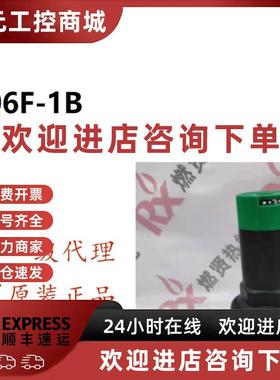 议价霍尼韦尔resideo 阀门 D06FH-3/4B D06FN-3/4B调压范围高 订