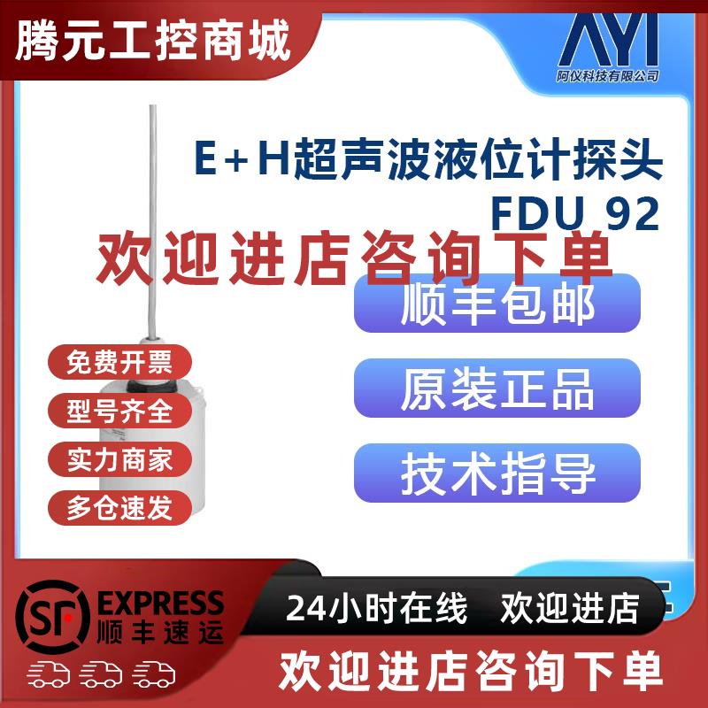 议价德国 E+H超声波液位计探头 FDU92-RG2A 恩德斯豪斯Endress+Ha